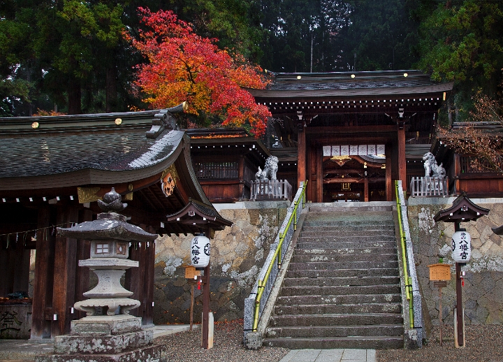 Takayama-Sakurayama Hachimangu Shrine 11-0872.jpg